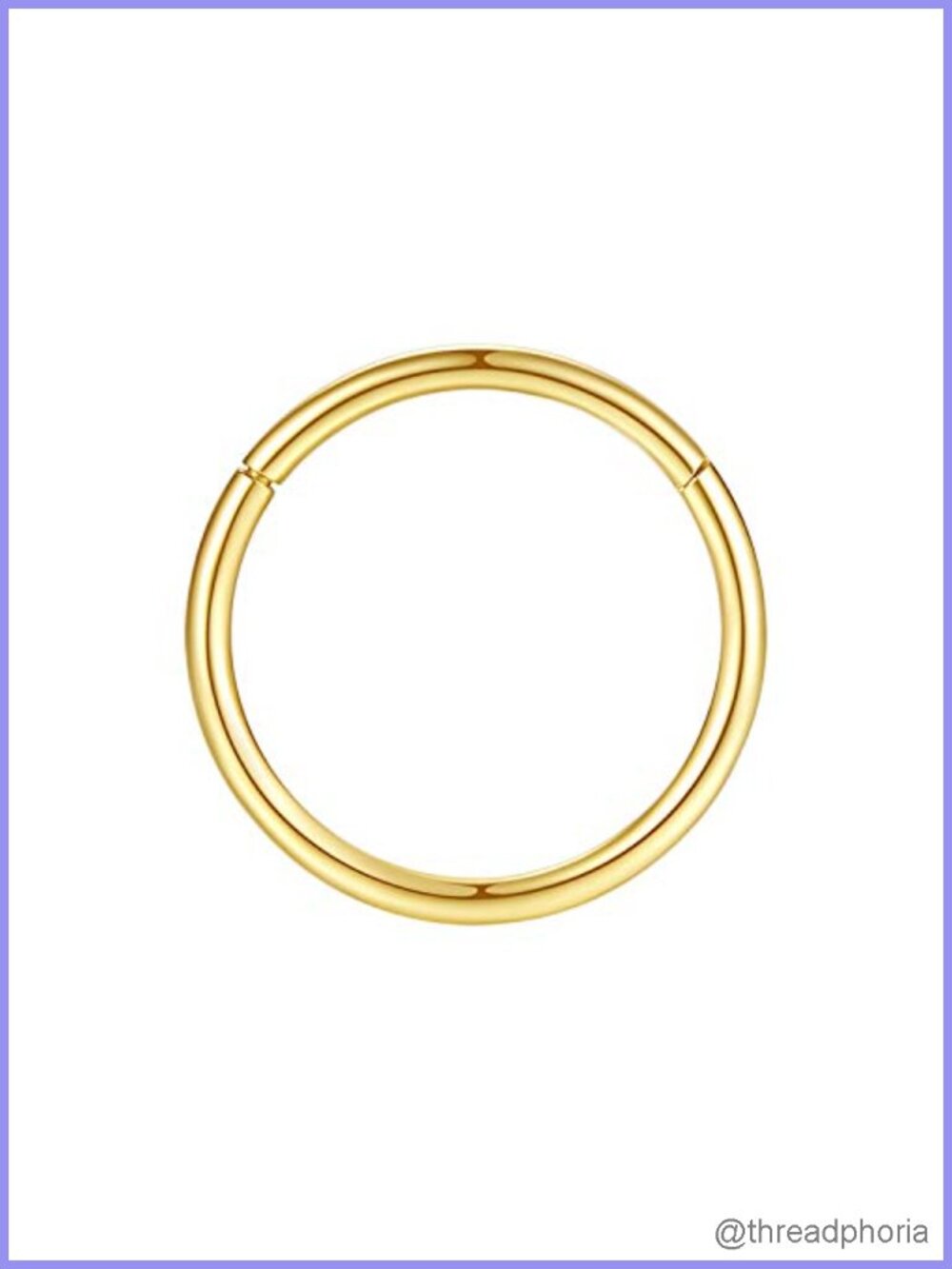 Hypoallergenic 316L Surgical Steel Hinged Segment Nose Ring Hoop